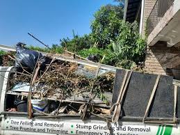 Best Basement Cleanout  in La Homa, TX